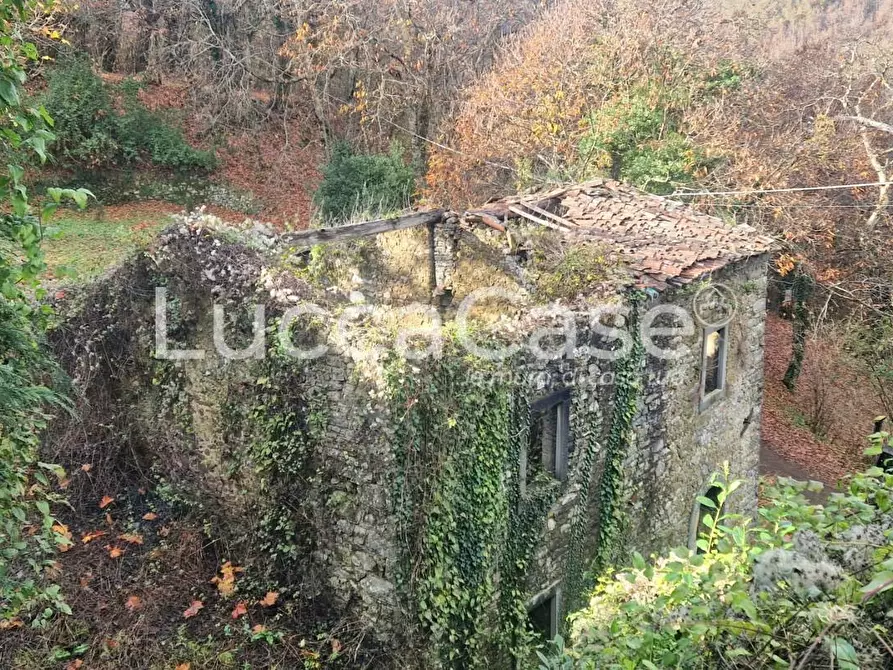 Immagine 32 di Villa in vendita  a Coreglia Antelminelli