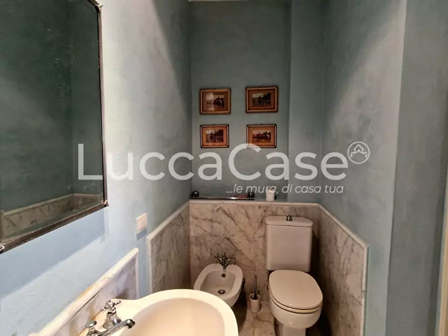 Immagine 22 di Villa in vendita  a Coreglia Antelminelli