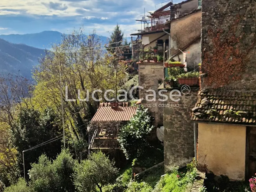 Immagine 35 di Villa in vendita  a Coreglia Antelminelli