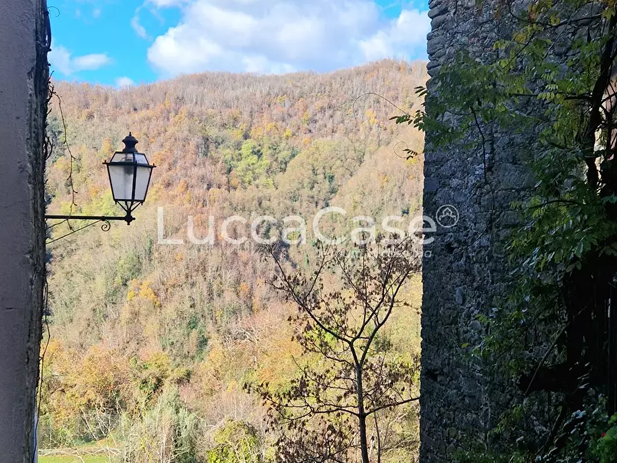 Immagine 34 di Villa in vendita  a Coreglia Antelminelli