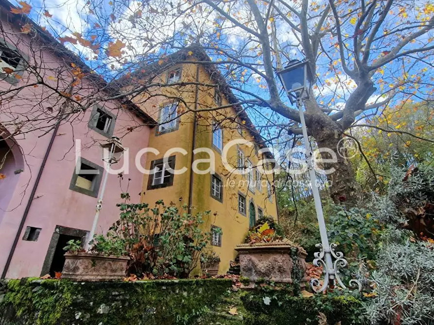 Immagine 31 di Villa in vendita  a Coreglia Antelminelli