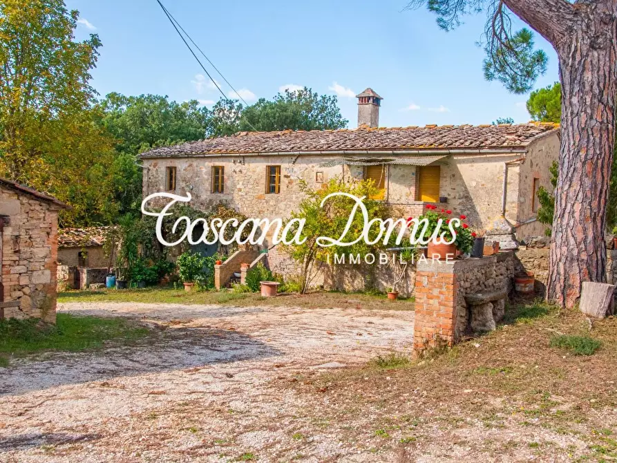 Immagine 11 di Casa colonica in vendita  a Sovicille