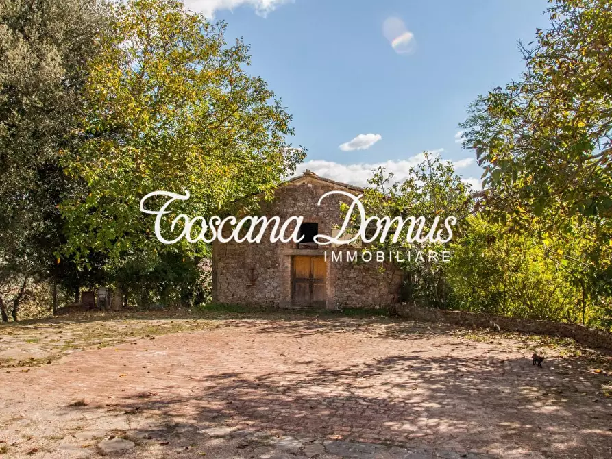 Immagine 8 di Casa colonica in vendita  a Sovicille