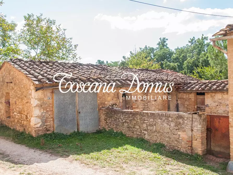 Immagine 6 di Casa colonica in vendita  a Sovicille