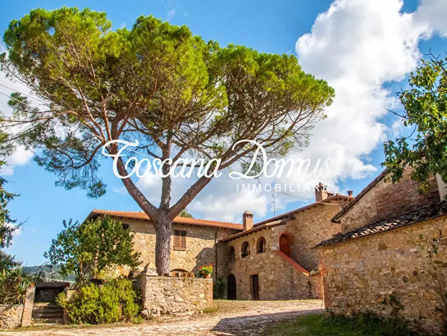 Immagine 3 di Casa colonica in vendita  a Sovicille