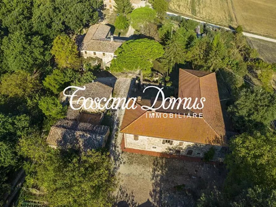 Immagine 2 di Casa colonica in vendita  a Sovicille