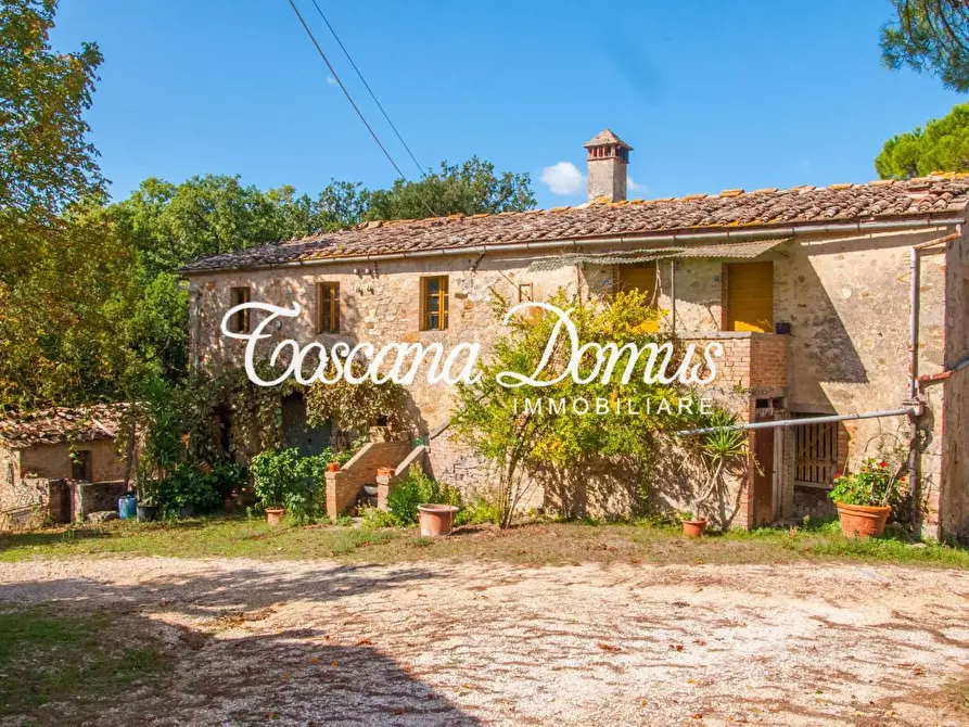 Immagine 5 di Casa colonica in vendita  a Sovicille