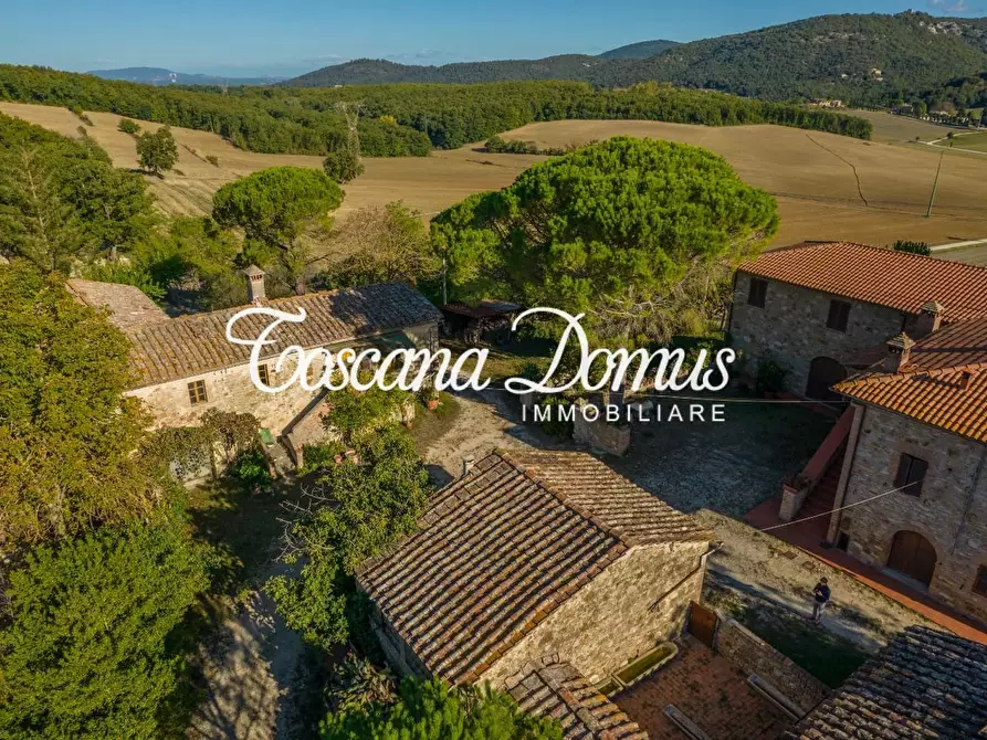 Immagine 4 di Casa colonica in vendita  a Sovicille