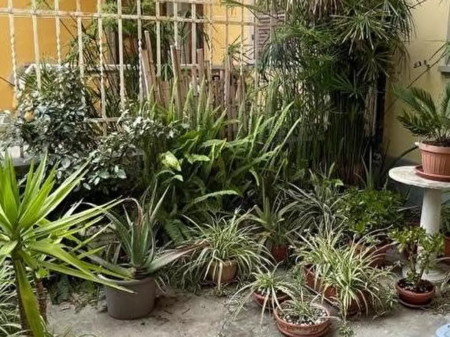 Immagine 15 di Mansarda in vendita  a Forte Dei Marmi