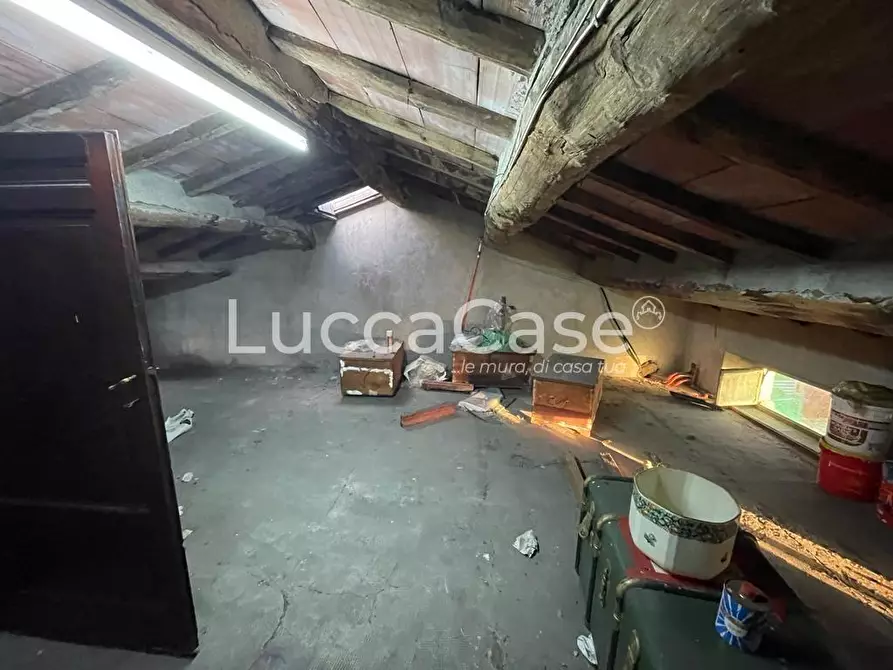 Immagine 9 di Terratetto in vendita  a Lucca
