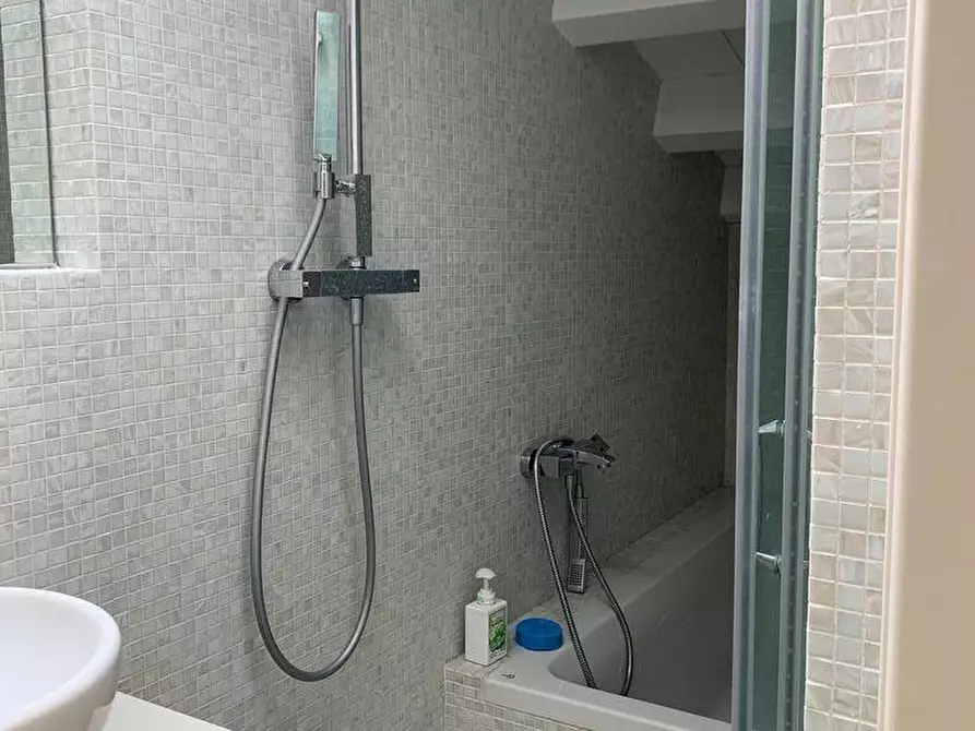 Immagine 22 di Villa in affitto  a Forte Dei Marmi