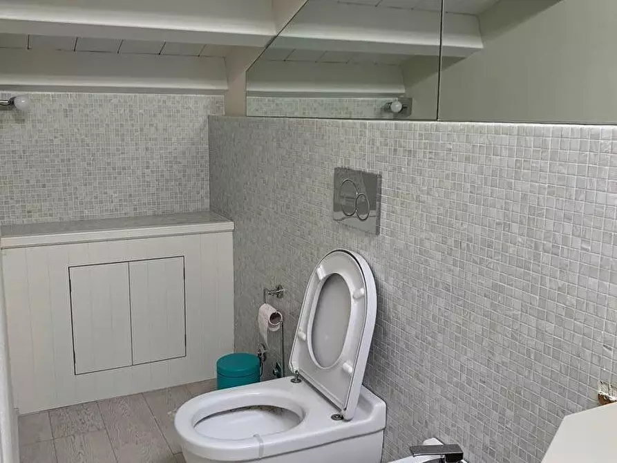 Immagine 21 di Villa in affitto  a Forte Dei Marmi