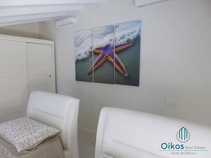 Immagine 17 di Casa bifamiliare in affitto  a Forte Dei Marmi