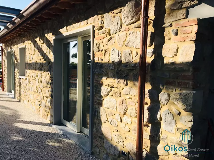 Immagine 9 di Villa in vendita  a Pietrasanta