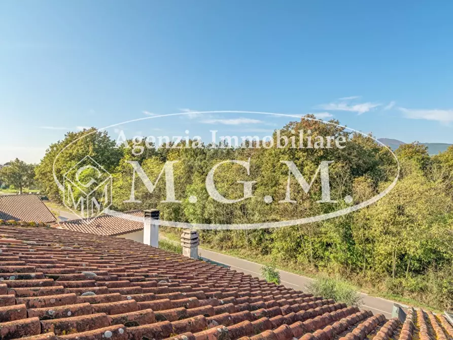 Immagine 50 di Porzione di casa in vendita  a Bientina