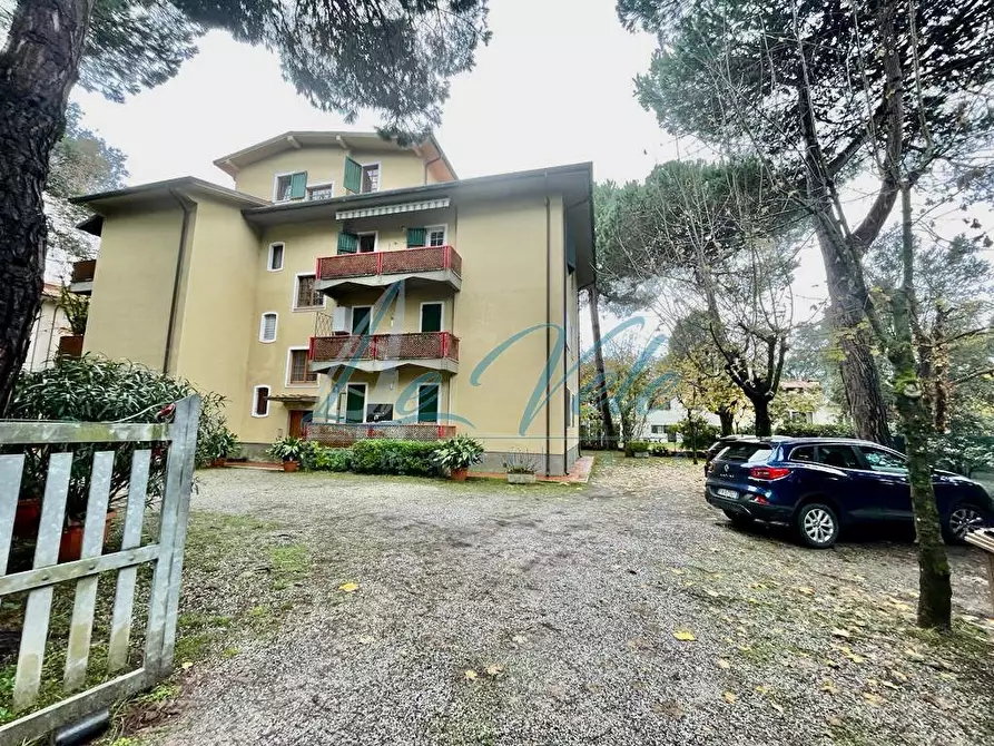 Immagine 2 di Appartamento in vendita  a Massa