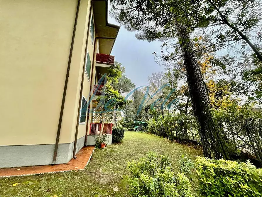 Immagine 3 di Appartamento in vendita  a Massa