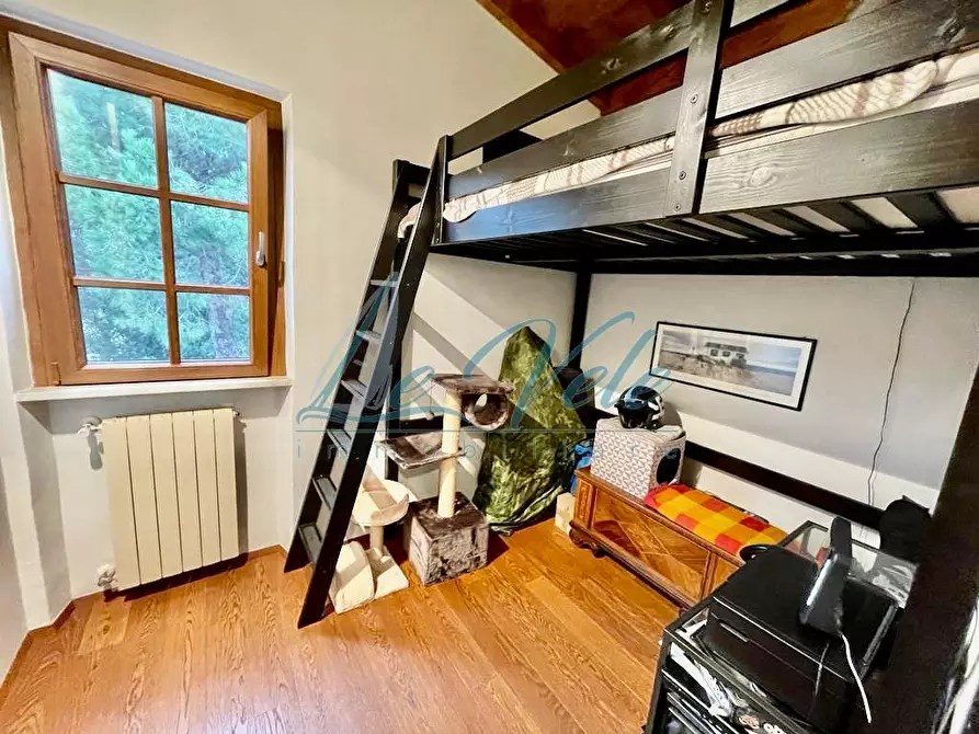 Immagine 7 di Appartamento in vendita  a Massa