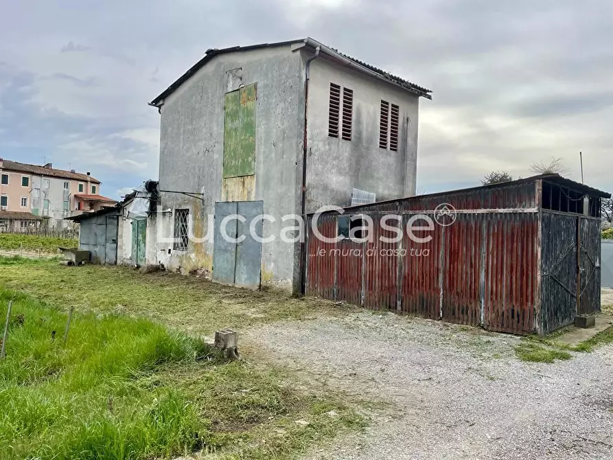 Immagine 3 di Rustico / casale in vendita  a Lucca