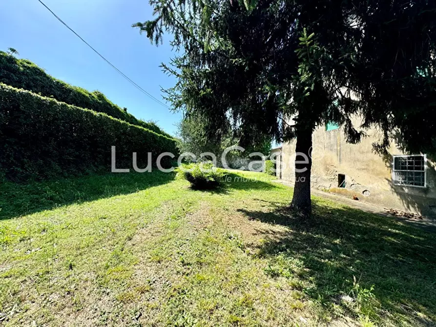 Immagine 31 di Terratetto in vendita  a Lucca