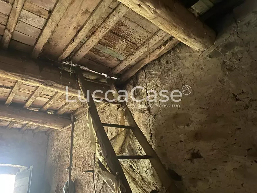 Immagine 5 di Rustico / casale in vendita  a Lucca