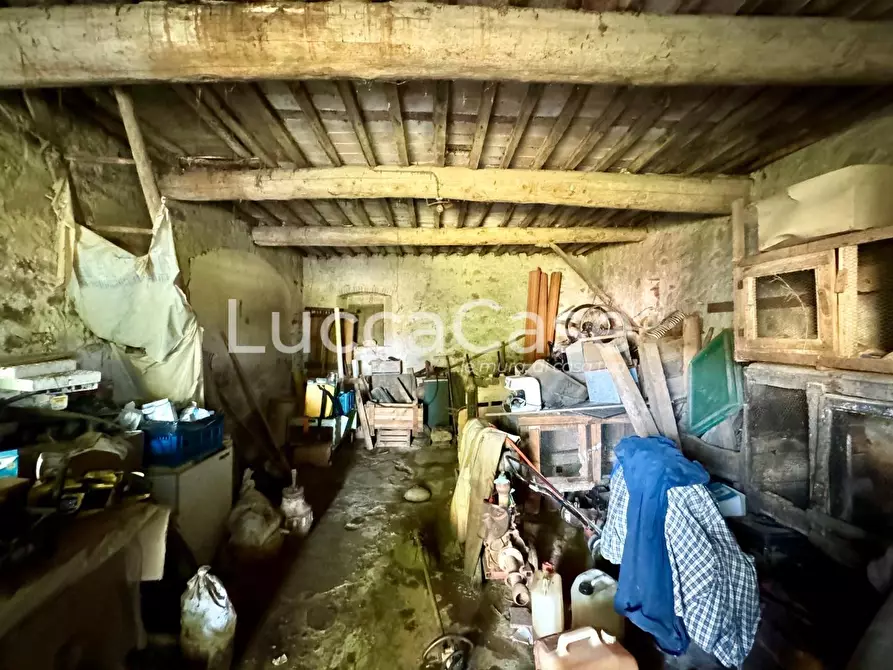 Immagine 8 di Rustico / casale in vendita  a Lucca