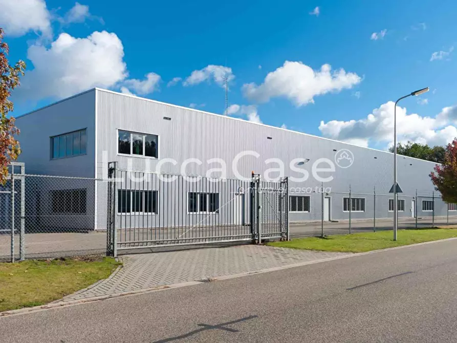 Immagine 1 di Capannone industriale in vendita  a Vecchiano