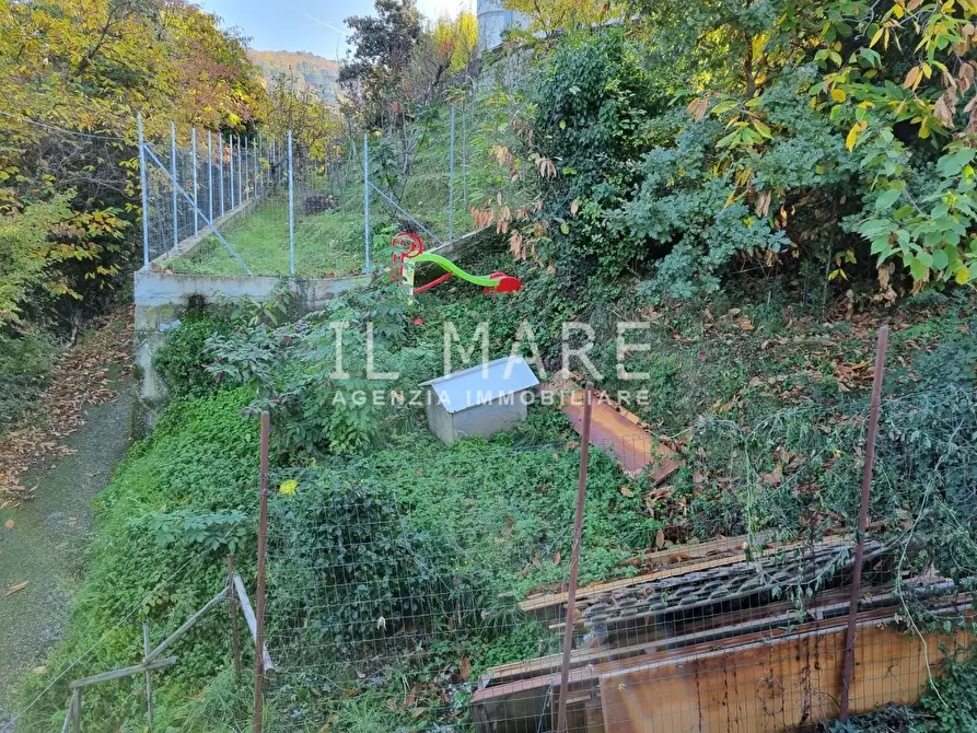 Immagine 13 di Appartamento in vendita  a Massa