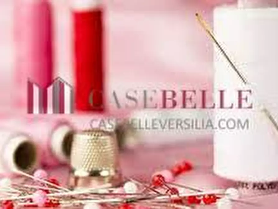 Immagine 2 di Attività commerciale in vendita  a Pietrasanta