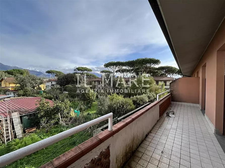 Immagine 1 di Appartamento in vendita  a Massa