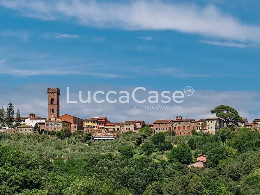 Immagine 4 di Appartamento in vendita  a Montecarlo