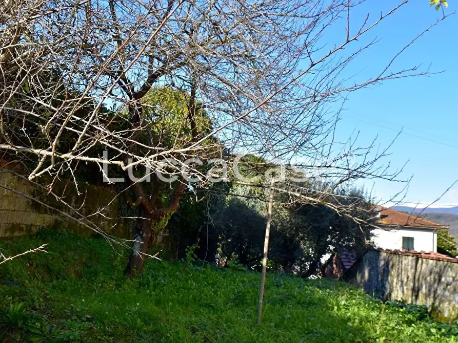 Immagine 20 di Appartamento in vendita  a Lucca