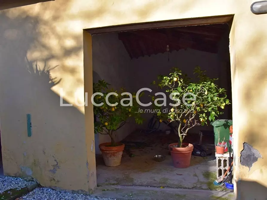 Immagine 21 di Appartamento in vendita  a Lucca