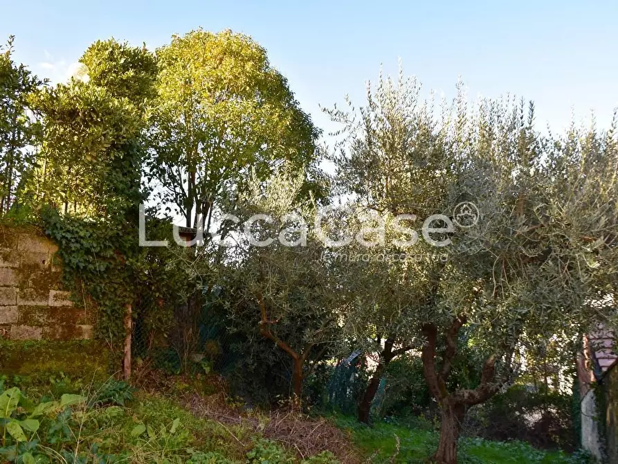 Immagine 19 di Appartamento in vendita  a Lucca