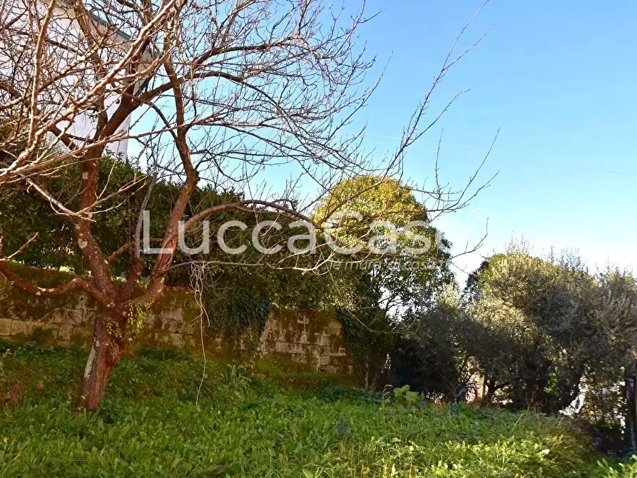 Immagine 18 di Appartamento in vendita  a Lucca