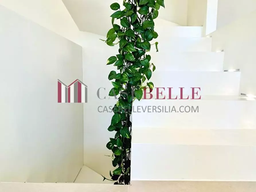 Immagine 15 di Casa bifamiliare in affitto  a Forte Dei Marmi