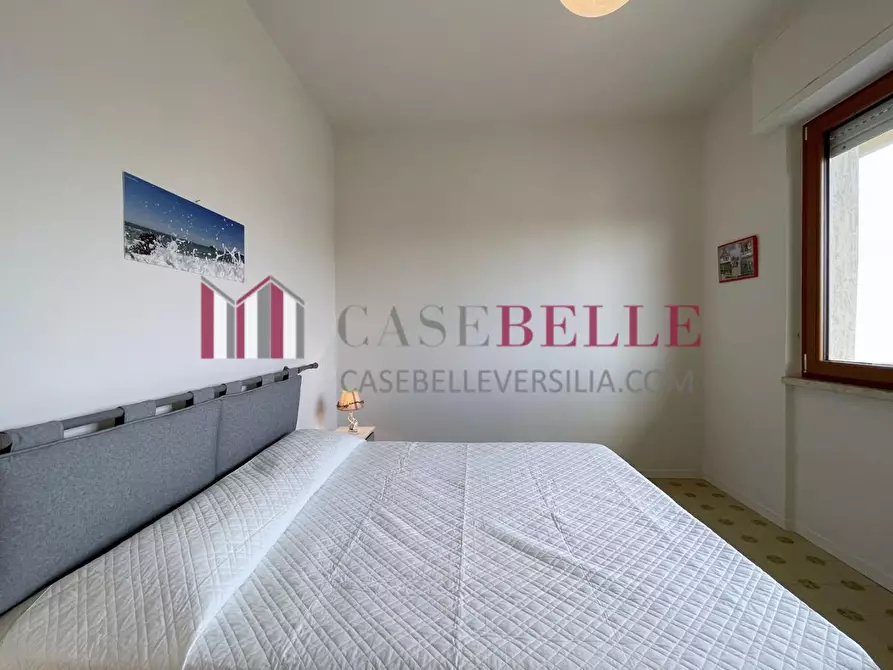 Immagine 31 di Appartamento in affitto  a Camaiore