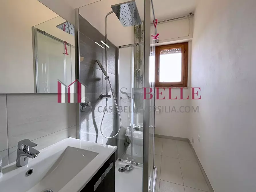 Immagine 17 di Appartamento in affitto  a Camaiore