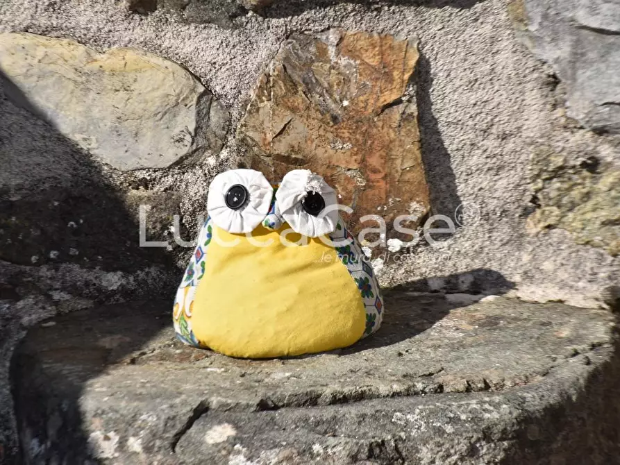 Immagine 22 di Casa semindipendente in vendita  a Aulla