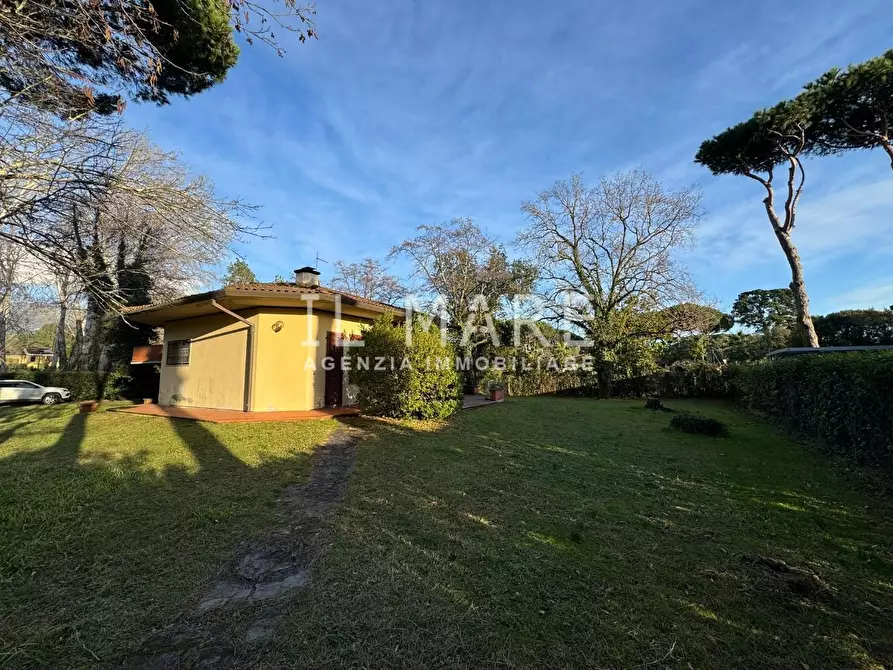 Immagine 6 di Villa in vendita  a Massa
