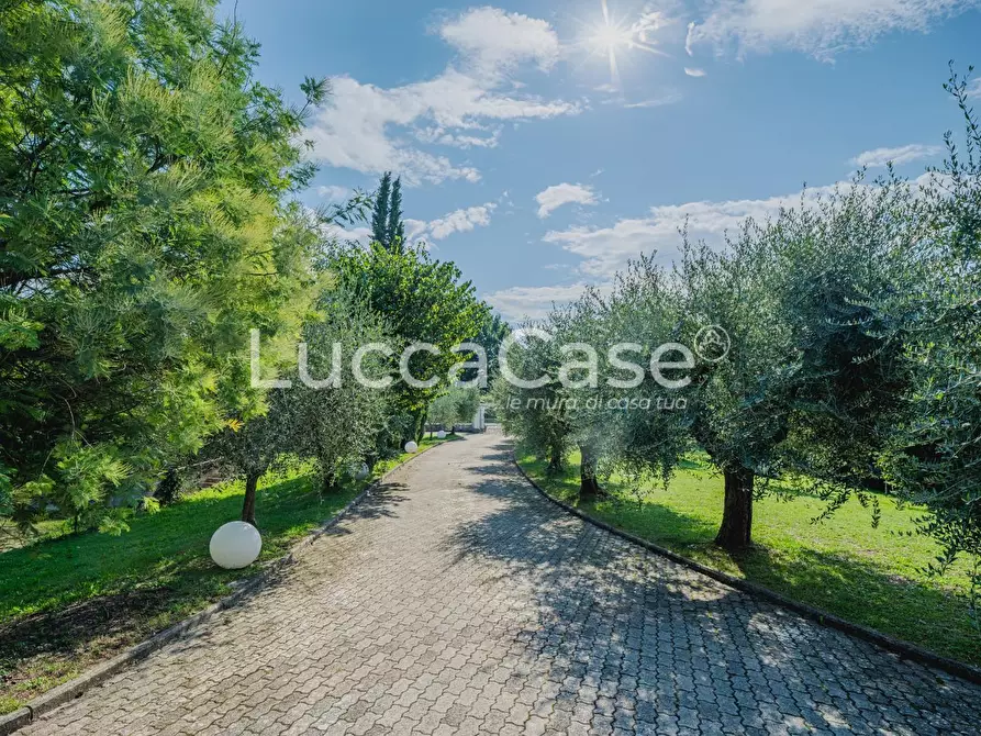 Immagine 41 di Villa in vendita  a Lucca