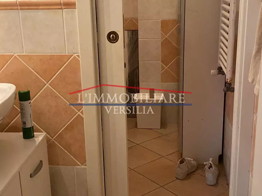 Immagine 6 di Appartamento in vendita  a Massa