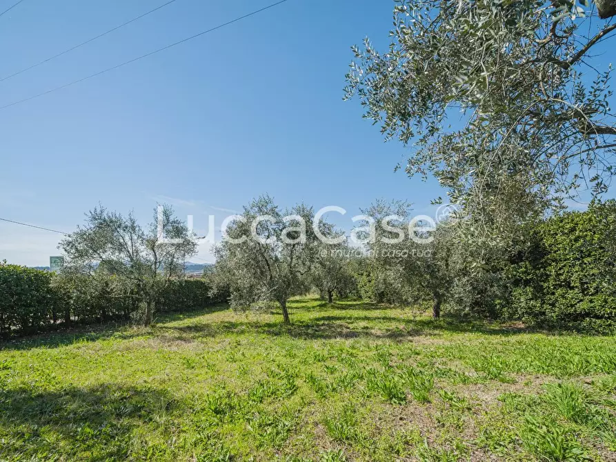 Immagine 43 di Villa in vendita  a Uzzano