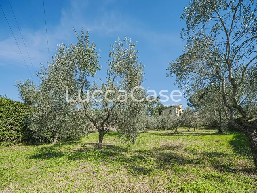 Immagine 42 di Villa in vendita  a Uzzano