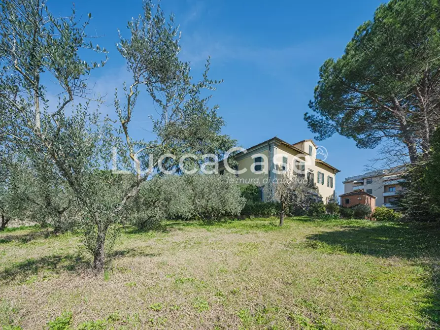 Immagine 41 di Villa in vendita  a Uzzano