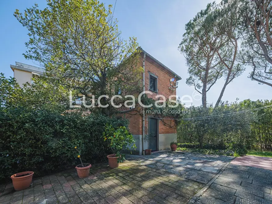 Immagine 38 di Villa in vendita  a Uzzano