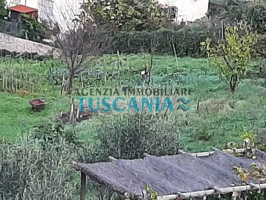 Immagine 12 di Appartamento in vendita  a Guardistallo