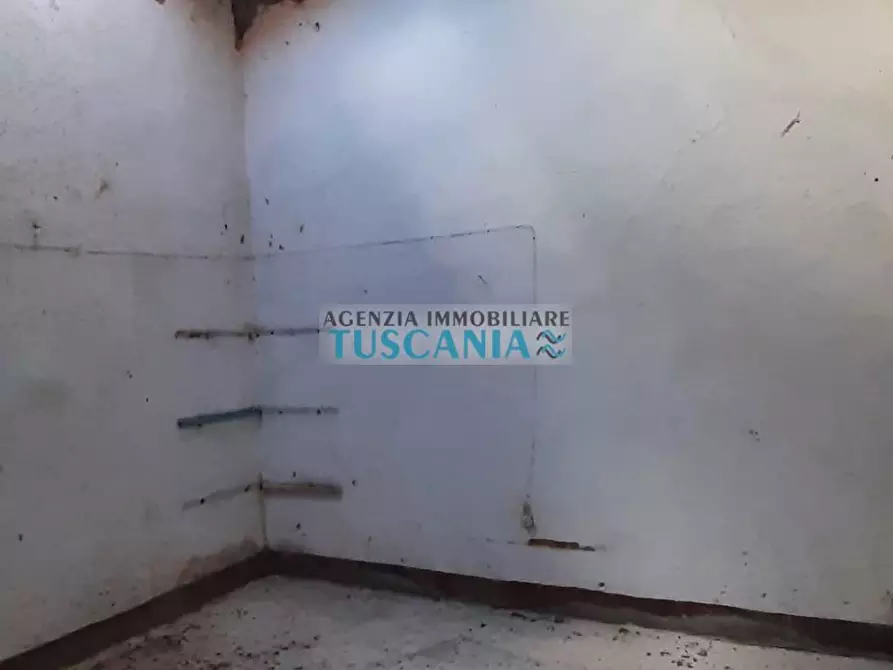 Immagine 4 di Appartamento in vendita  a Guardistallo