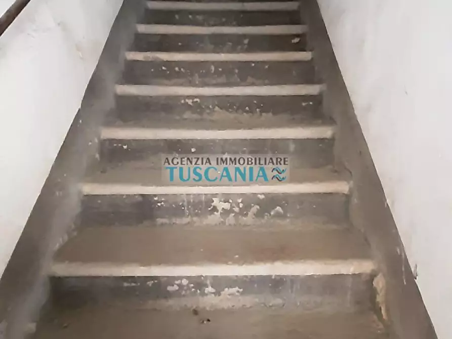 Immagine 9 di Appartamento in vendita  a Guardistallo