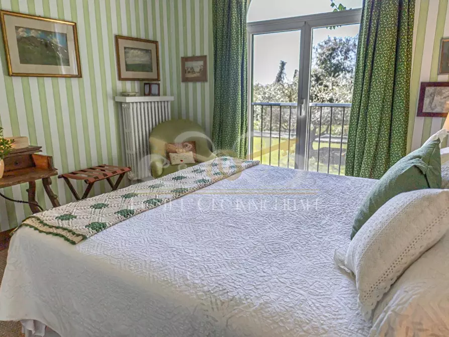 Immagine 24 di Villa in affitto  a Vecchiano